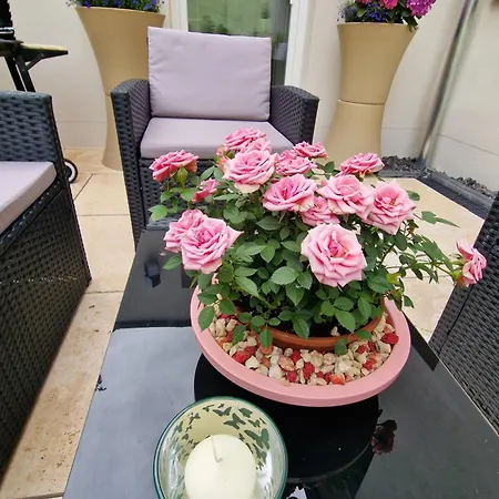 Apartment Fascinosa - Kunst Des Urlaubs - Taxilounge Mit Wasserfallgarten Nähe Trier&luxemburg
